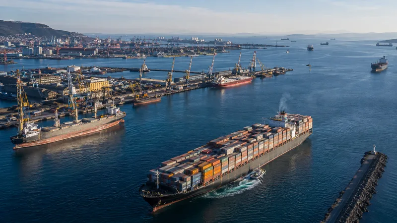 Commercial vessels and cranes across a large international port